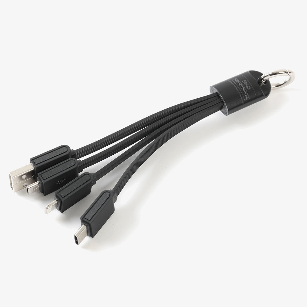 Multiple USB Cable — Banque Transatlantique